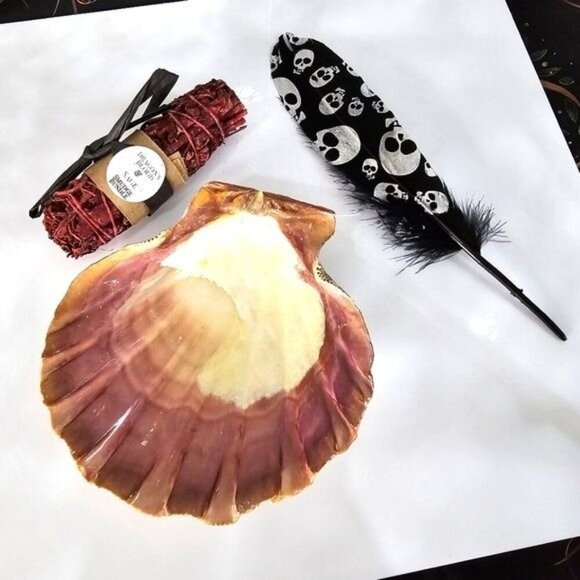 Dragon’s Blood Sage ✦ Tiger Shell ✦ Skull Feather ✦ Cleansing Smudge Set NWT - Picture 6 of 7